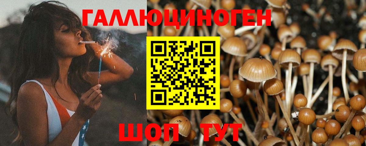 Псилоцибиновые грибы ЛСД  Вход с VPN  Йошкар-Ола  Галлюциногенные грибы мицелий 
